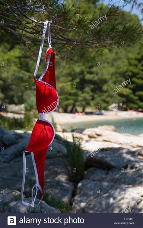 real nudists pics|3,704 Naturism Stock Photos and High